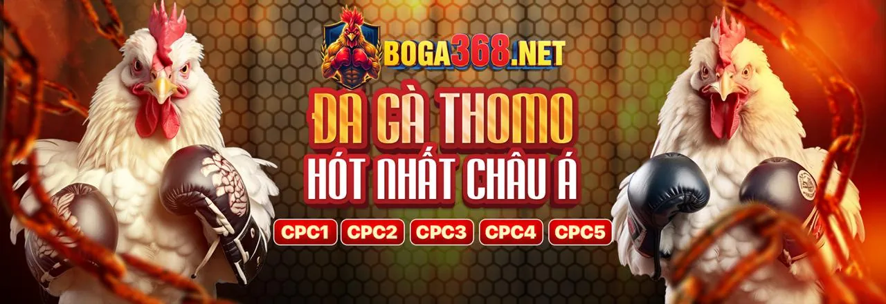 Đá Gà Trực Tuyến vnz66 Link Mới Nhất 2026